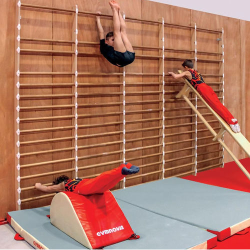 Спортивная стенка из дерева - 2355 - GYMNOVA