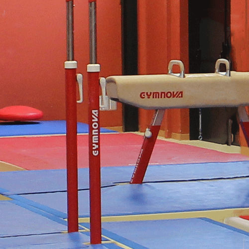 Мат для гимнастики - 395 - GYMNOVA