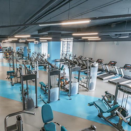 Спортивное покрытие для интерьера - OMNISPORTS COMPACT - Tarkett Sports Indoor - виниловое / для легкой атлетики / для занятий спортом