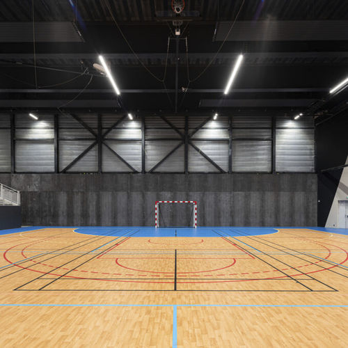 Спортивное покрытие для интерьера - OMNISPORTS ACTIVE+  - Tarkett Sports Indoor - виниловое / для школ / для легкой атлетики