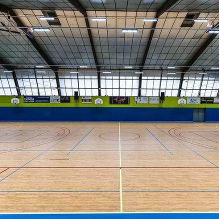 Спортивное покрытие для интерьера - LUMAFLEX ENERGY OMNISPORTS REFERENCE MULTI-USE - Tarkett Sports Indoor - из дерева / виниловое / для спортивных залов