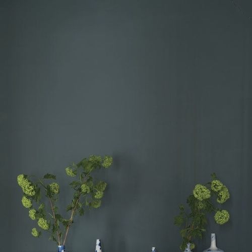 Декоративная краска - INCHYRA - Farrow & Ball - для наружного использования / для кухни / для ванной комнаты