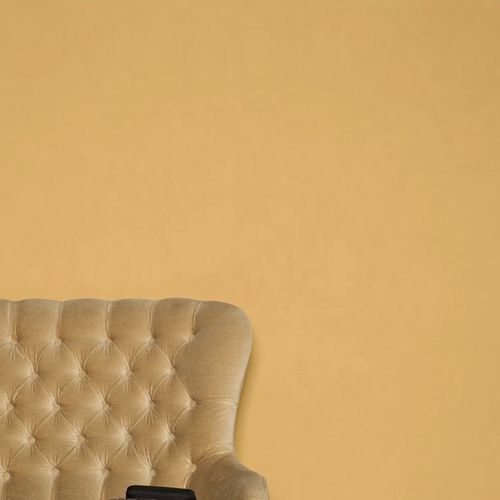Декоративная краска - ORANGERY - Farrow & Ball - для отделки / для наружного использования / для гостиной