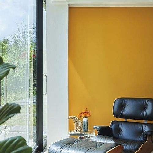 Декоративная краска - DUTCH - Farrow & Ball - для отделки / для наружного использования / для гостиной