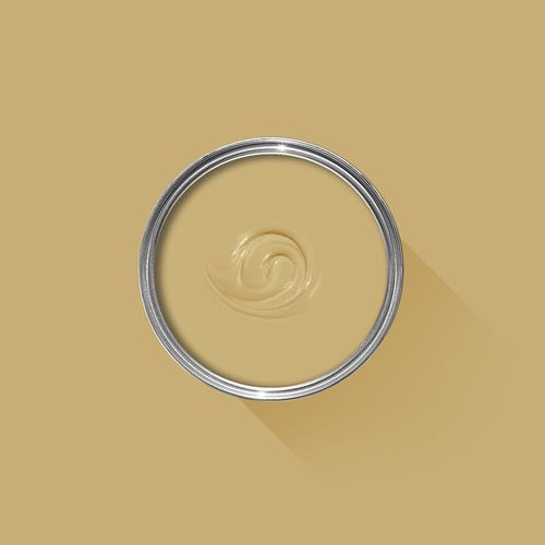 Декоративная краска - OCTAGON - Farrow & Ball - для отделки / для кухни / для наружного использования