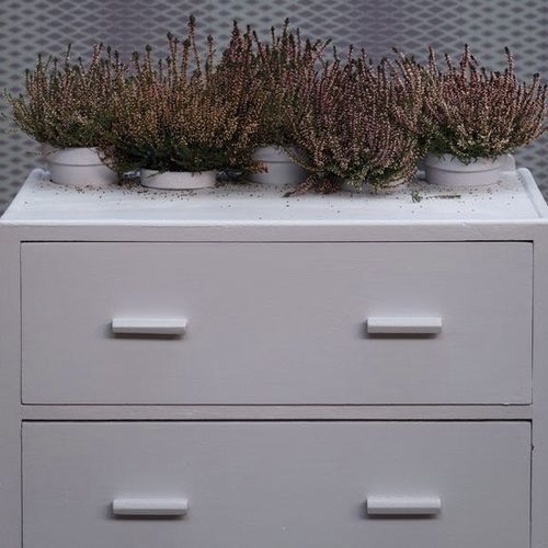 Декоративная краска - CALLUNA - Farrow & Ball - для отделки / для наружного использования / для ванной комнаты