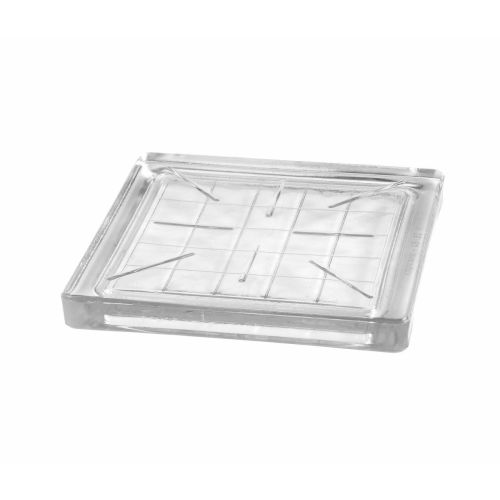 Напольная плитка из стекла - B 2020/2 PRISMA  - SEVES GLASSBLOCK - для наружного применения / для интерьера / прозрачная