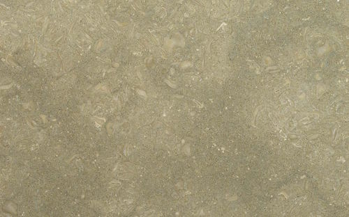 Напольное покрытие из мрамора - FOSSIL GREEN - Margraf SpA - из плит / очищенное / песчаное