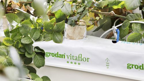 Сумка для растений - VITAFLOR - GRODAN