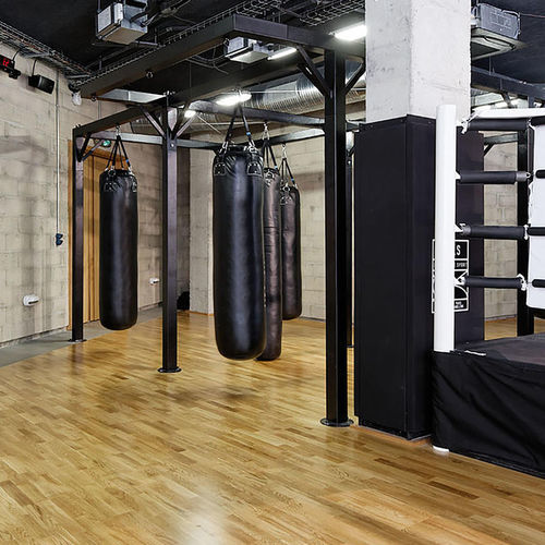 Спортивное покрытие для интерьера - MULTIFLEX M  - Tarkett PROFESSIONAL - виниловое / для спортивных залов / для гимнастики