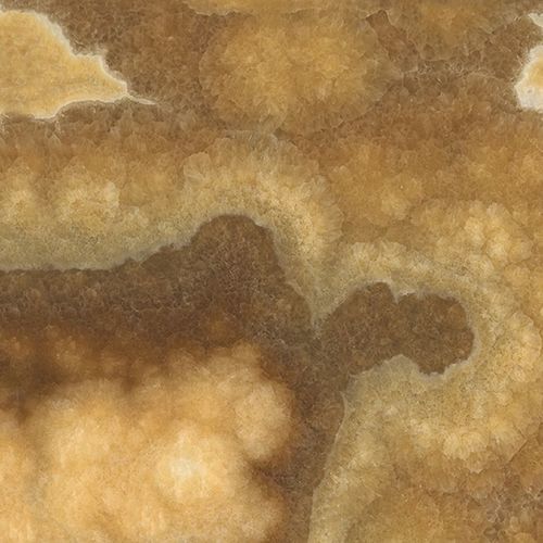Плита из камня из оникса - ONICE CAPPUCCINO - Nikolaus Bagnara S.p.A. - для напольной поверхности / настенная / коричневая