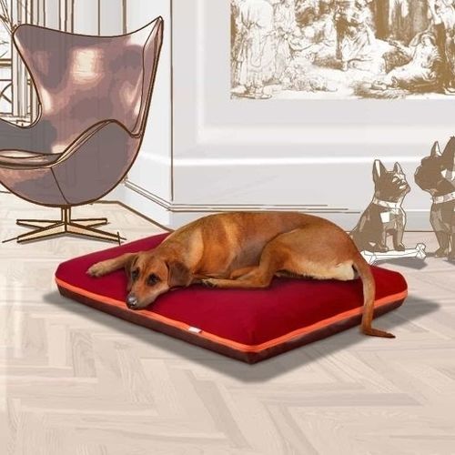 Подушка для домашних животных (собак и кошек) - PAULINE - pet.interiors - квадратная / прямоугольная / однотонная