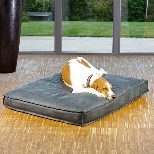 Подушка для домашних животных (собак и кошек) - BUFFALO - pet.interiors - квадратная / прямоугольная / однотонная