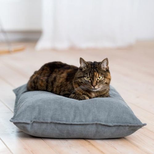 Подушка для домашних животных (собак и кошек) - DIVAN UNO - pet.interiors - квадратная / прямоугольная / круглая