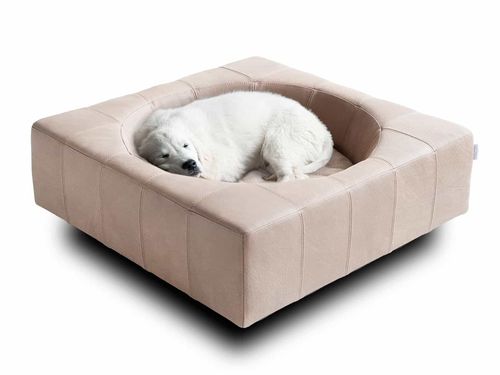 Кровать для собаки из кожи - CUBE - pet.interiors - из бука