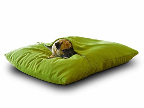 Подушка для домашних животных (собак и кошек) - DIVAN DUE - pet.interiors - прямоугольная / однотонная / для бытового использования