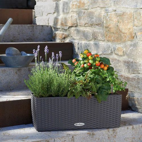 Кадка для садовых растений из пластика - BALCONERA - Lechuza - прямоугольная / модульная / подвесная