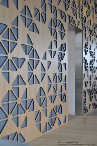 Настенная акустическая панель - WÄRTSILÄ STORD - Bruag Design Factory AG - для перегородки / из фанеры / прямоугольная