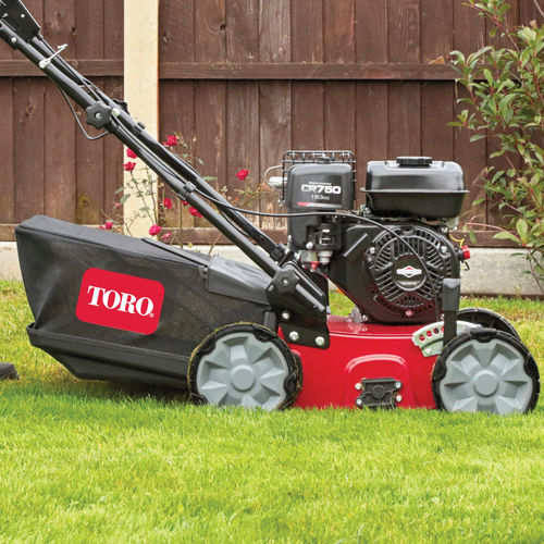 Скарификатор толкаемого типа - 54610 - Toro Compan - с бензиновым двигателем / с передковым колесом