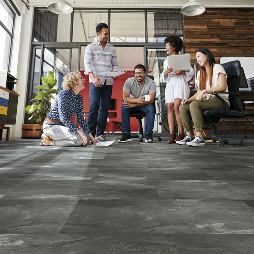 Виниловое напольное покрытие - TERRA NOVA - Kraus Flooring - для интерьера / для домашнего использования / для профессионального использования