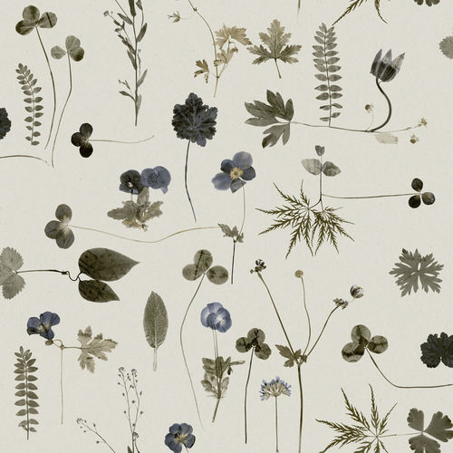Современный обои - BOTANICA - Eco - в цветочек