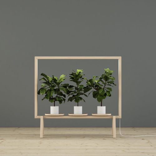 Опора для растений из алюминия - GREENFRAME - GLIMAKRA - из дерева / в форме арки / декоративная