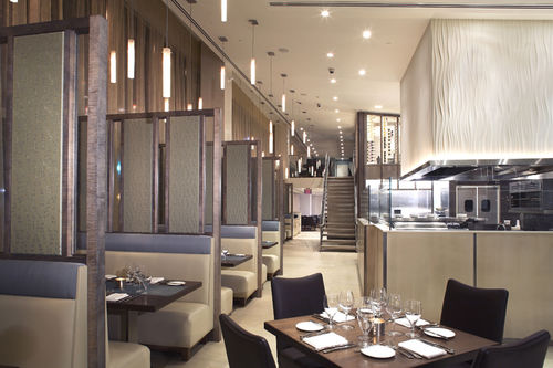 Декоративная панель для внутренней компоновки - RESTAURANT & BAR - classical natural Stone - для подвесных потолков / для перегородки / настенная