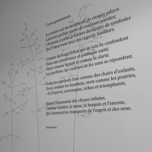 Настенная клейкая этикетка надпись - POESIE NOCTURNE CORRESPONDANCE - Atelier d'Art Osmoze - Design & décoration murale