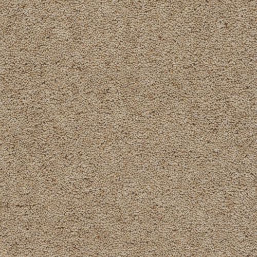 Тафтинговое ковровое покрытие - DEVONIA HEATHER PLAIN - Axminster carpets - из шерсти / бытового применения / для профессионального использования