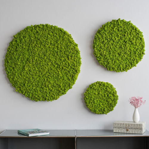 Стабилизированный мох в форме шара - SG-KR-IS - FlowerArt GmbH - для фитокартины / панельный