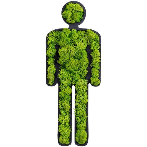 Живая изгородь мох - MAN - FlowerArt GmbH - натуральная / для интерьера / пиктограмма