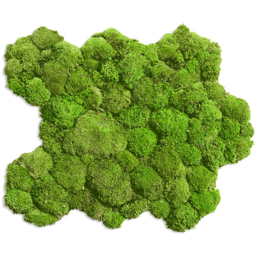 Стабилизированная живая изгородь - FLEXGREEN  - FlowerArt GmbH - мох / натуральная / для интерьера