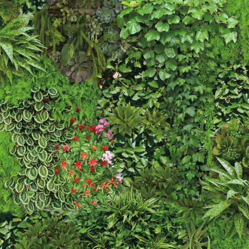 Современный обои - Living Wall - York wallcoverings - виниловый / в цветочек / с размерным эффектом