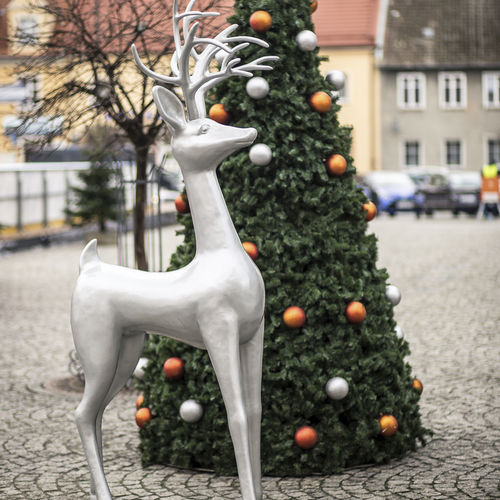 Скульптура рождественский - CHRISTMAS REINDEER RUDOLF - Terra Group - из стекловолокна / для наружного применения / садовая