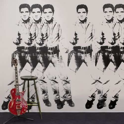 Современный обои - ELVIS - FLAVOR PAPER - из ткани / с рисунком / черный
