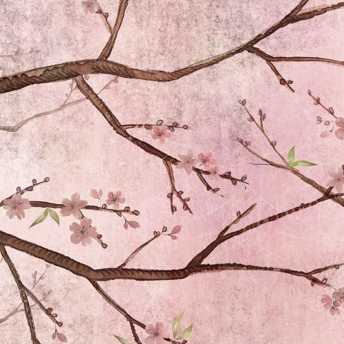 Современный обои - PIN CHERRY - Wallpepper - природный мотив / набивной