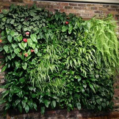 "зеленая стена" из живых растений - MODULOGREEN® - BY NATURE - из модульных панелей / натуральная / для интерьера