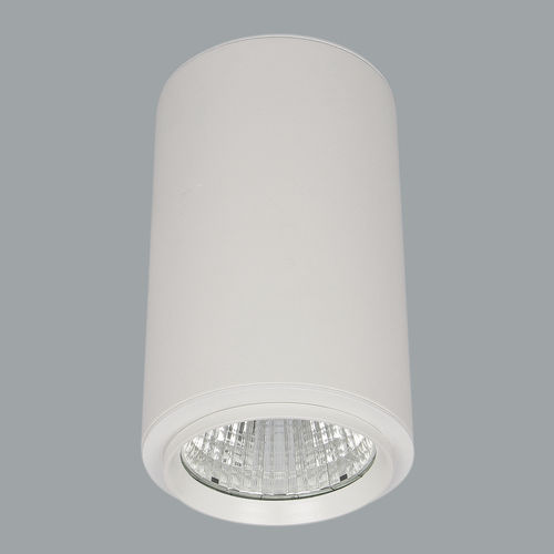 Выступающий даунлайт - PIPA MAXI BRIDGESPOT / I01.MLS.16014 - Avolux - LED / круглый / IP20