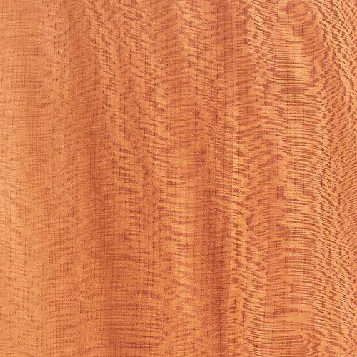 Обшивка из дерева - EUROPEAN LACEWOOD - SCHORN&GROH