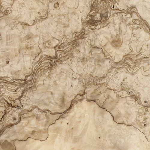 Обшивка из дерева - OLIVE ASH BURL - SCHORN&GROH - FSC-сертифицированная