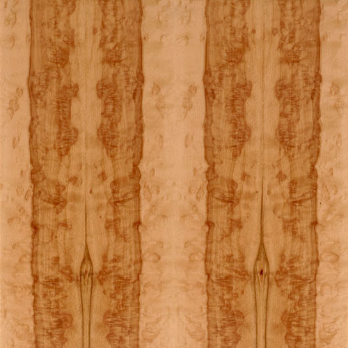Обшивка из дерева - SELECT : HEARTED BEECH BURL - SCHORN&GROH