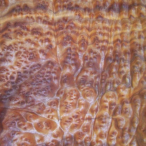 Обшивка из дерева - CAMPHOR BURL - SCHORN&GROH