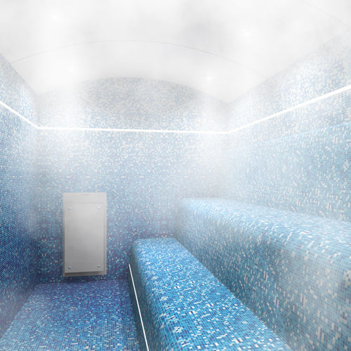 Парогенератор для хаммамов - ULTRASTEAM PRO - Cleopatra World of Wellness