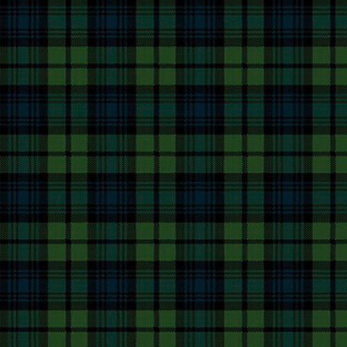 Тканое ковровое покрытие - BLACK WATCH TARTAN  - STEVENS AND GRAHAM - из шерсти / нейлоновое / для сектора услуг