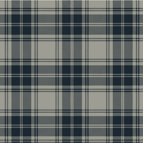 Тканое ковровое покрытие - DOUGLAS GREY TARTAN  - STEVENS AND GRAHAM - из шерсти / нейлоновое / для сектора услуг
