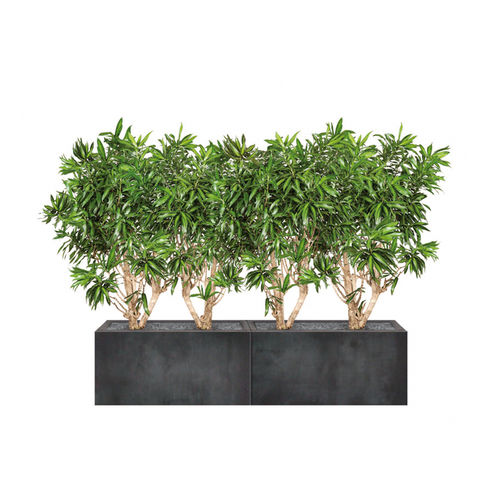 Кадка для садовых растений из камня - DRACAENA - Artaqua - прямоугольная / модульная / современная