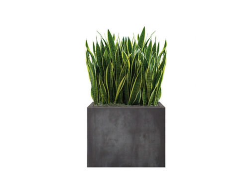 Кадка для садовых растений из камня - SANSEVIERIA - Artaqua - прямоугольная / модульная / современная