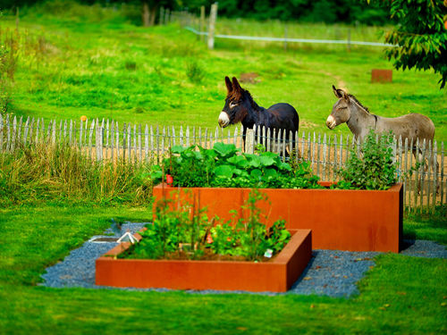 Ящик для рассады из кортеновской стали - BACS DE JARDINAGE - PK70 - для бытового использования
