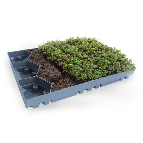 Экстенсивная "зеленая крыша" - ECOSEDUM - PURUS PLASTICS - для наколонной кровли / для террасы на крыше