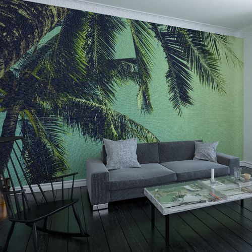 Современный обои - PALM TREE - HD WALLS - из нетканых материалов / виниловый / природный мотив